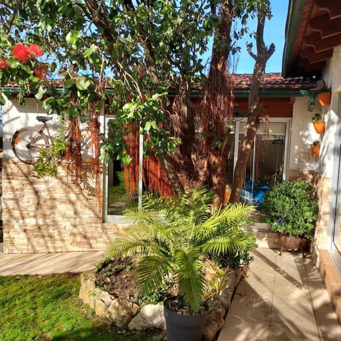 Вілла Casat5, Ferias, Piscina Privativa. Agueda, Aveiro Екстер'єр фото