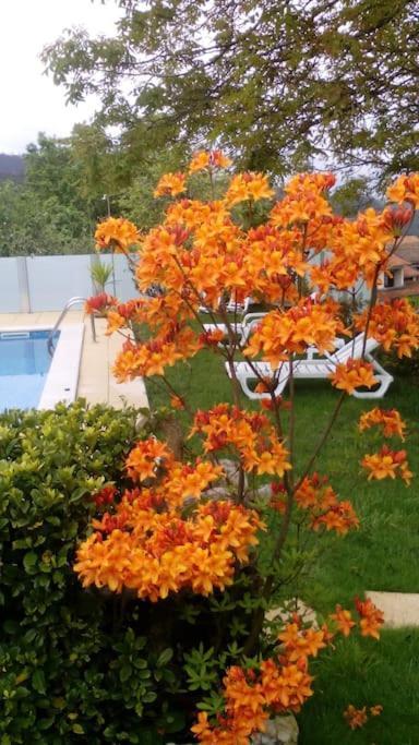 Вілла Casat5, Ferias, Piscina Privativa. Agueda, Aveiro Екстер'єр фото